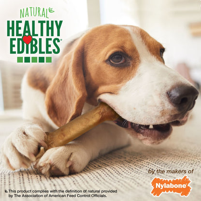 Nylabone Healthy Edibles Longer Lasting Bacon 2-Count Wolf – Long-Lasting Bacon Dog Treat UAE