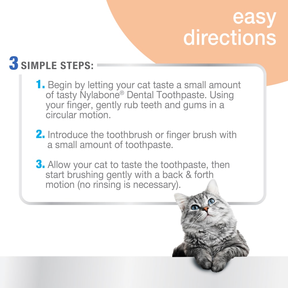 Nylabone Advanced Oral Care Cat Dental Kit – Cat Toothbrush & Toothpaste Set UAE