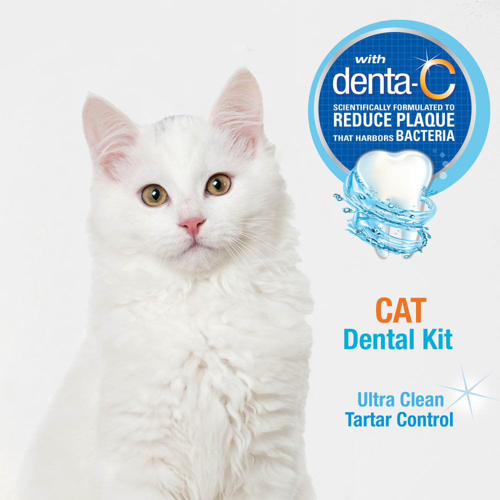Nylabone Advanced Oral Care Cat Dental Kit – Cat Toothbrush & Toothpaste Set UAE