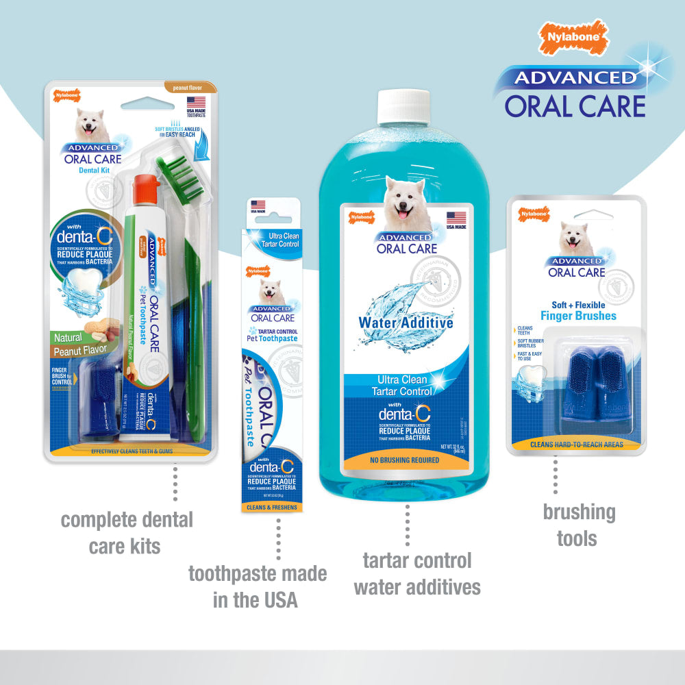 Nylabone Advanced Oral Care Cat Dental Kit – Cat Toothbrush & Toothpaste Set UAE