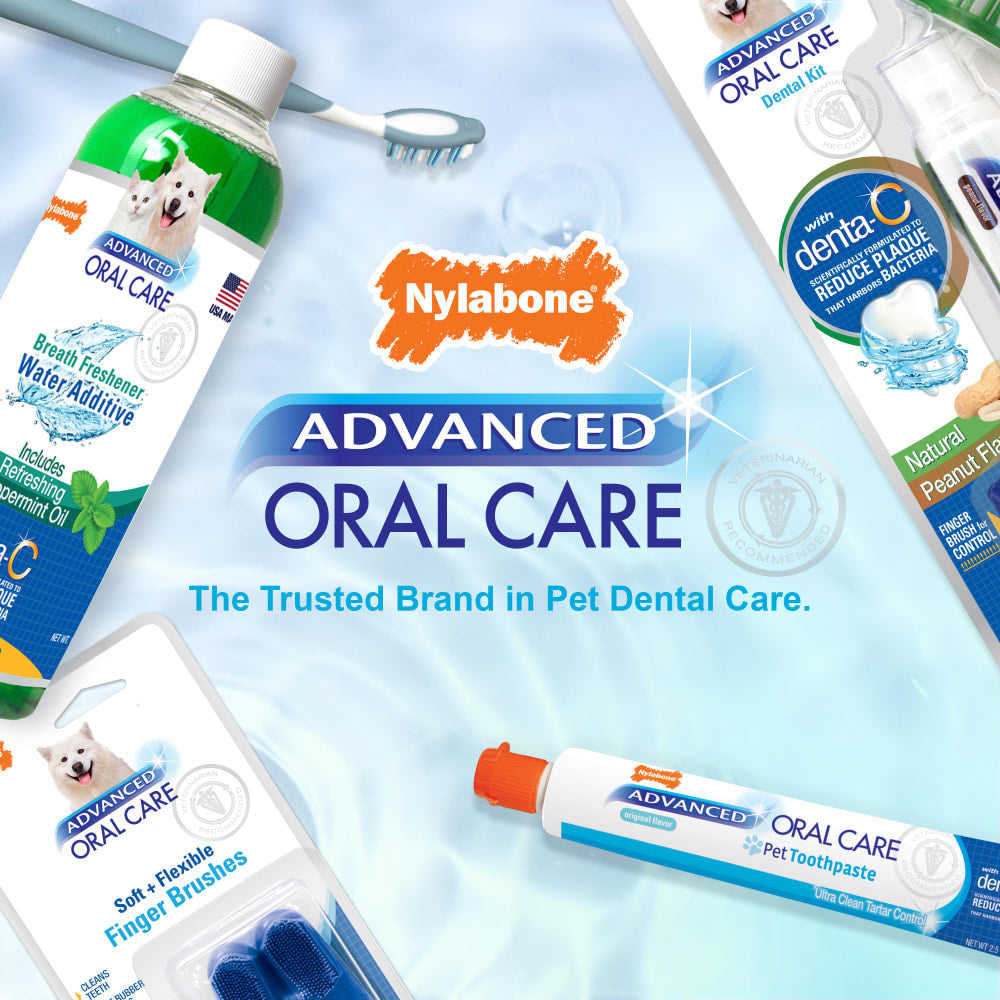 Nylabone Advanced Oral Care Cat Dental Kit – Cat Toothbrush & Toothpaste Set UAE