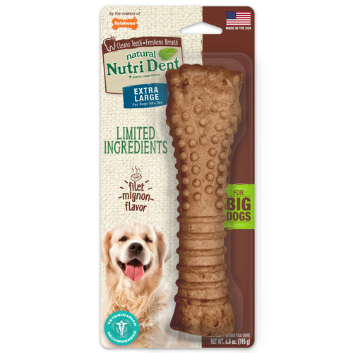 Nylabone Nutri Dent Filet Mignon Textured Edible Dog Dental Treat Souper – XL Dog Dental Chew UAE