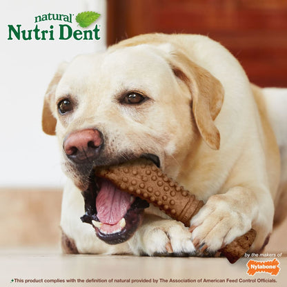 Nylabone Nutri Dent Filet Mignon Textured Edible Dog Dental Treat Souper – XL Dog Dental Chew UAE