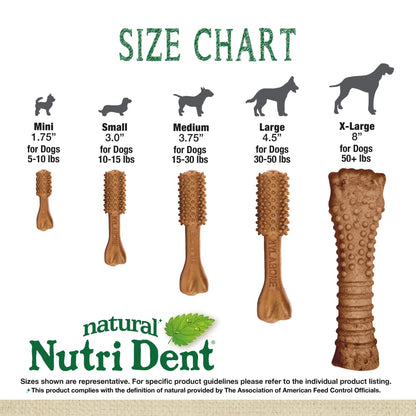 Nylabone Nutri Dent Filet Mignon Textured Edible Dog Dental Treat Souper – XL Dog Dental Chew UAE