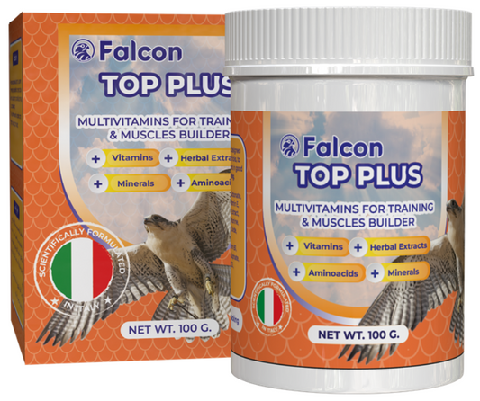 Geavet Falcon Top Plus (100 g) - Multivitamins for Training and Muscles Builder