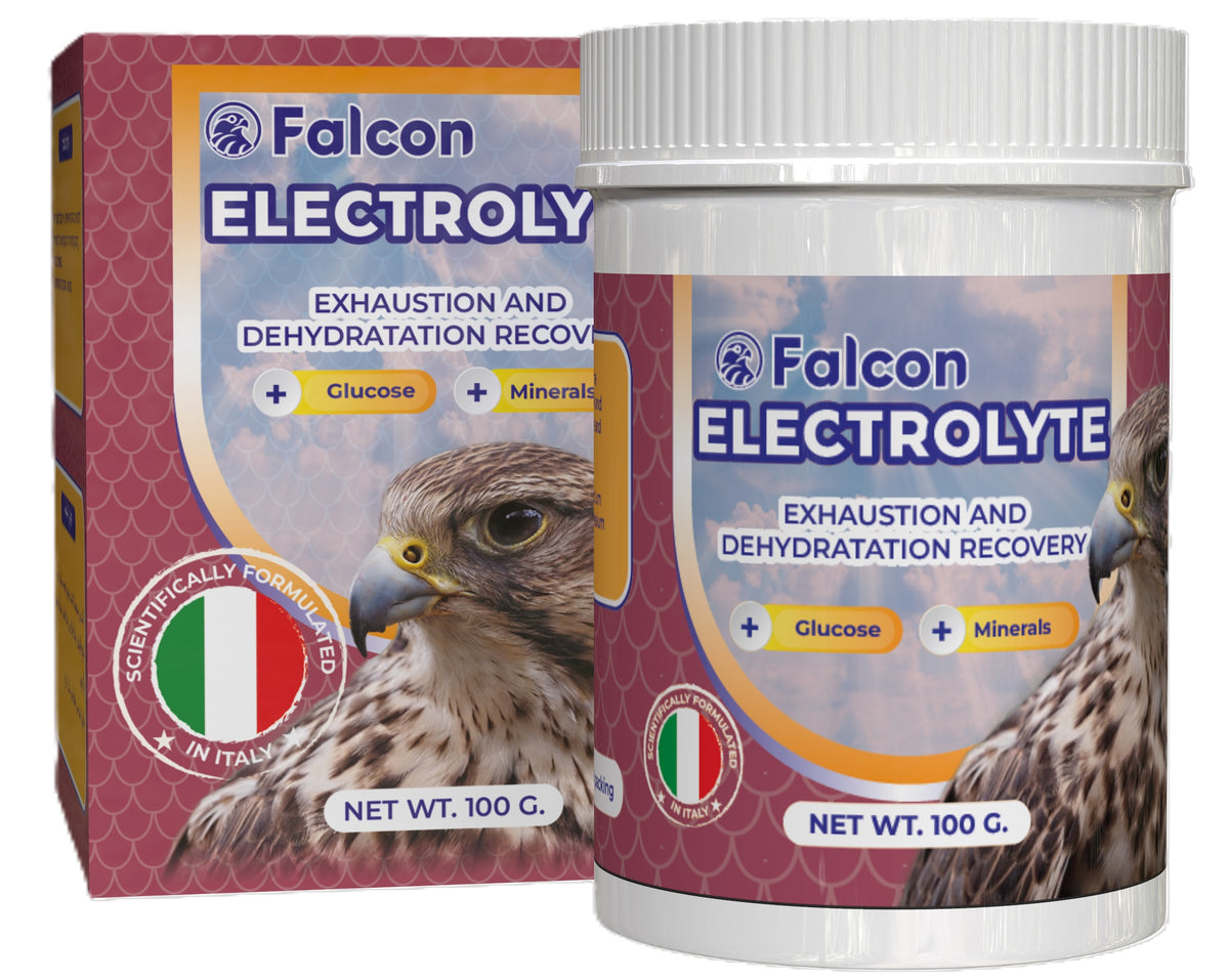 Geavet Falcon Electrolyte (100 g) - Exhaustion and Dehydration Recovery