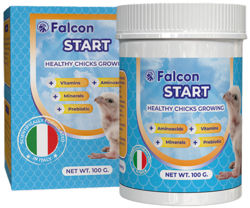 Geavet Falcon Start (100 g) - Healthy Chicks Growing
