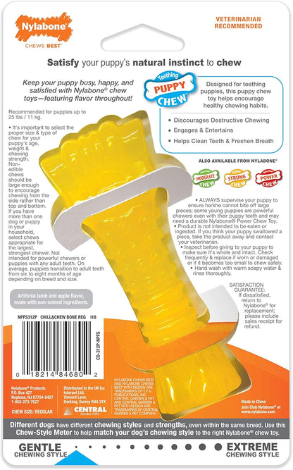 Nylabone Puppy Color-Changing Freezer Bone Lamb & Apple Regular – Soothing Teething Toy UAE