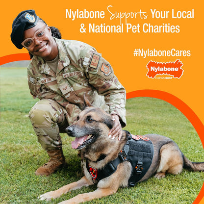 Nylabone Nubz Daily Health Roast Beef 2-Count Jumbo – Large Edible Dog Dental Treat UAE