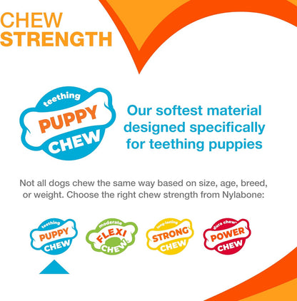 Nylabone Puppy Color-Changing Freezer Bone Lamb & Apple Regular – Soothing Teething Toy UAE