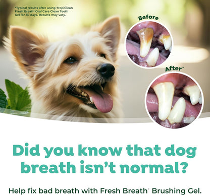TropiClean Fresh Breath Dental & Oral Care Brushing Gel for Dogs, 2oz