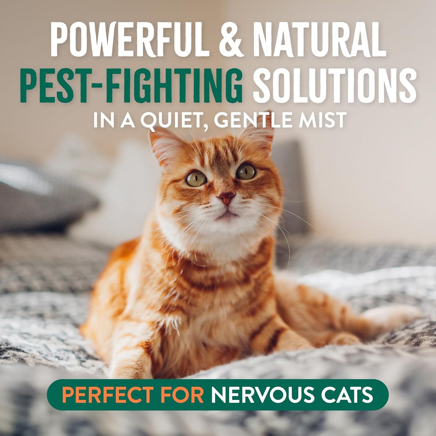 TropiClean Flea + Tick Cat + Home Easy Mist Spray for Cats- 14oz