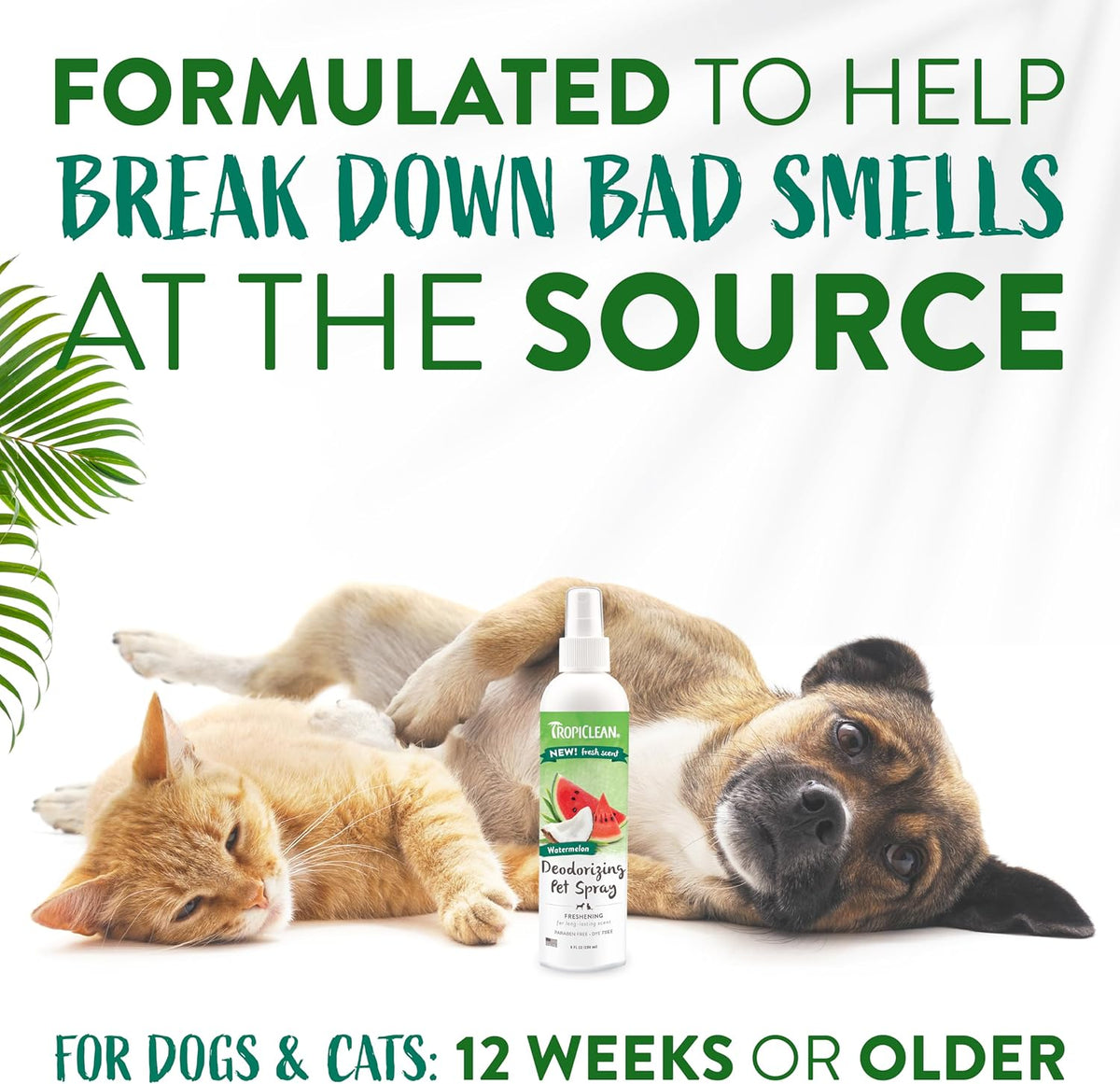 TropiClean Watermelon Deodorizing Pet Spray