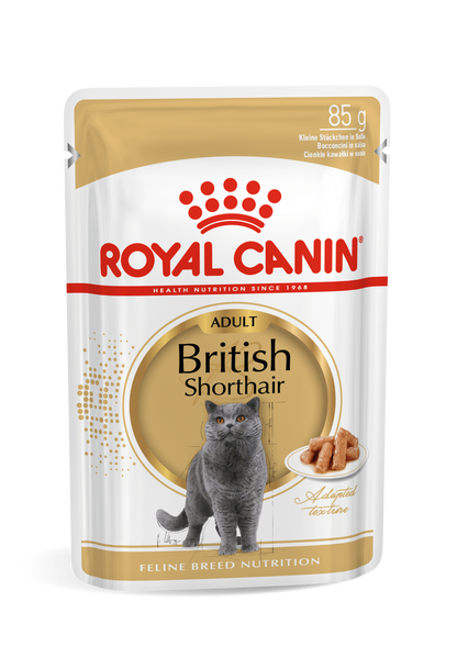 Royal Canin Feline Breed Nutrition British Shorthair (WET FOOD - Pouches) Pack of 12