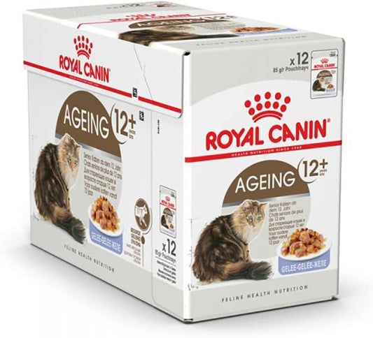 Royal Canin Feline Health Nutrition Ageing +12 Jelly (WET FOOD - Pouches) Pack of 12