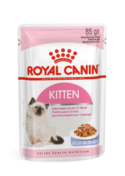 Royal Canin Feline Health Nutrition Kitten Jelly (WET FOOD - Pouches) BOX OF 12