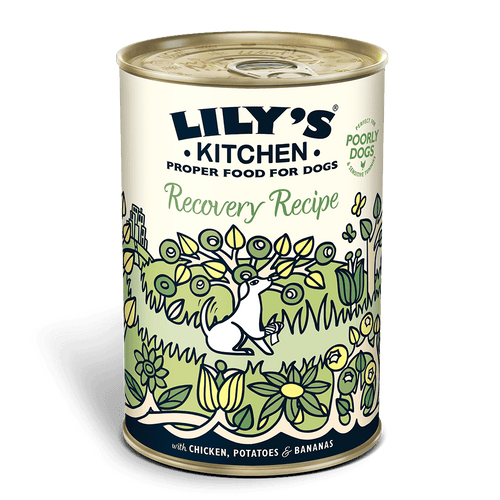 Lily's Kitchen Recovery Recipe Wet Dog Food (400g)