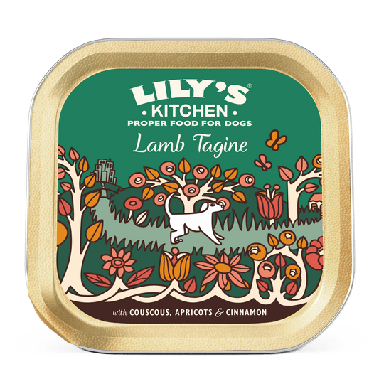 Lily's Kitchen Dog Tagine LAMB (150g)
