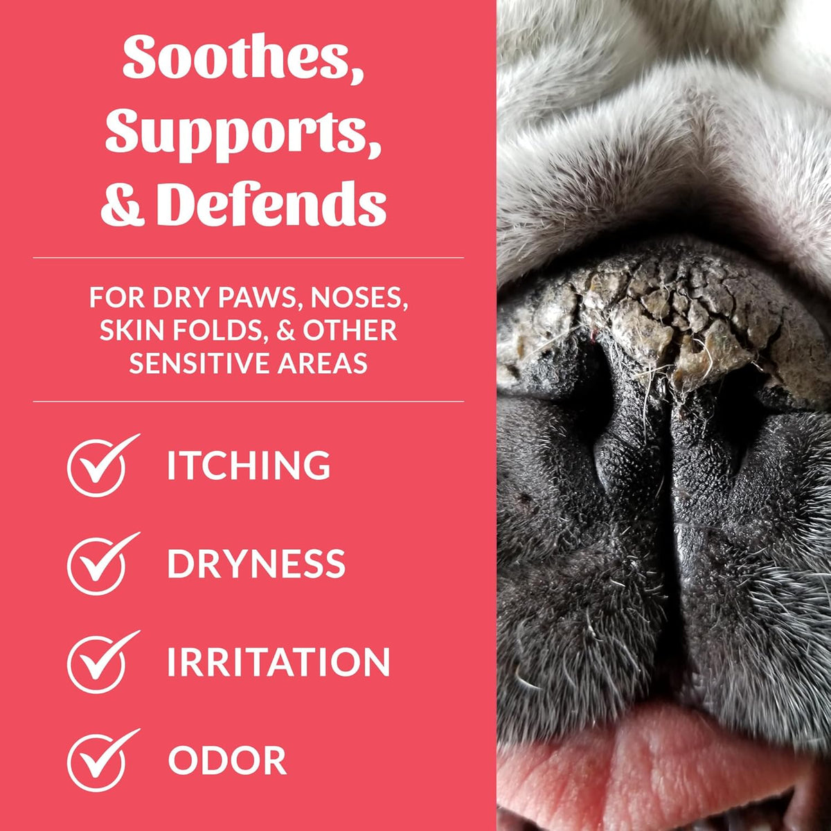 Skouts Honor Prebiotic Pet Balm 60Ml/2OZ Pet Essentials & Wellness