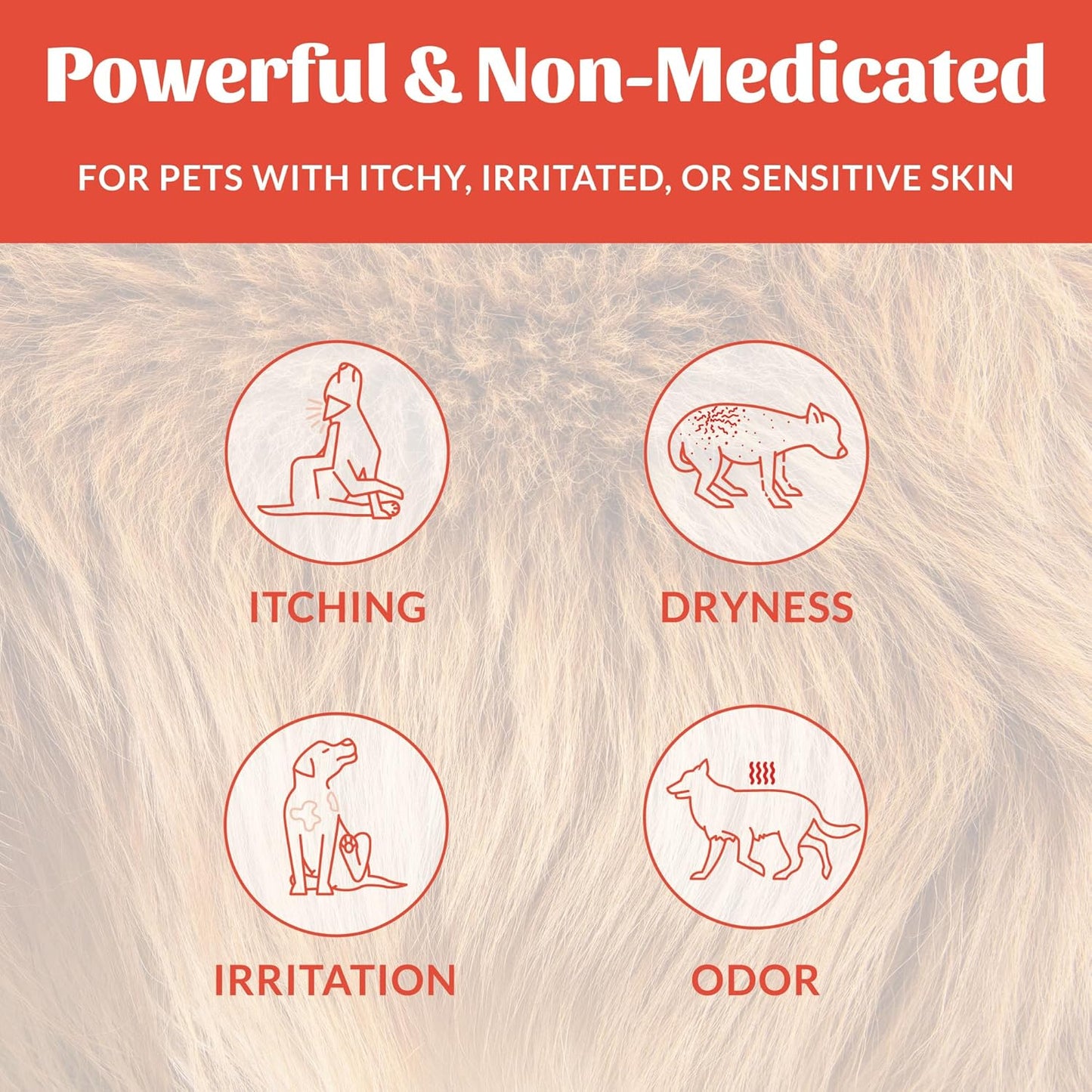Skouts Honor Probiotic Itch Relief Shampoo 475ML/16Oz Pet Essentials & Wellness