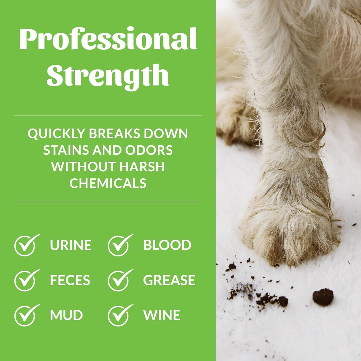 Skouts Honor Stain & Odor Remover 3.7 Liters Pet Essentials