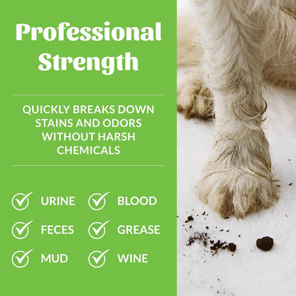 Skouts Honor Stain & Odor Remover 3.7 Liters Pet Essentials