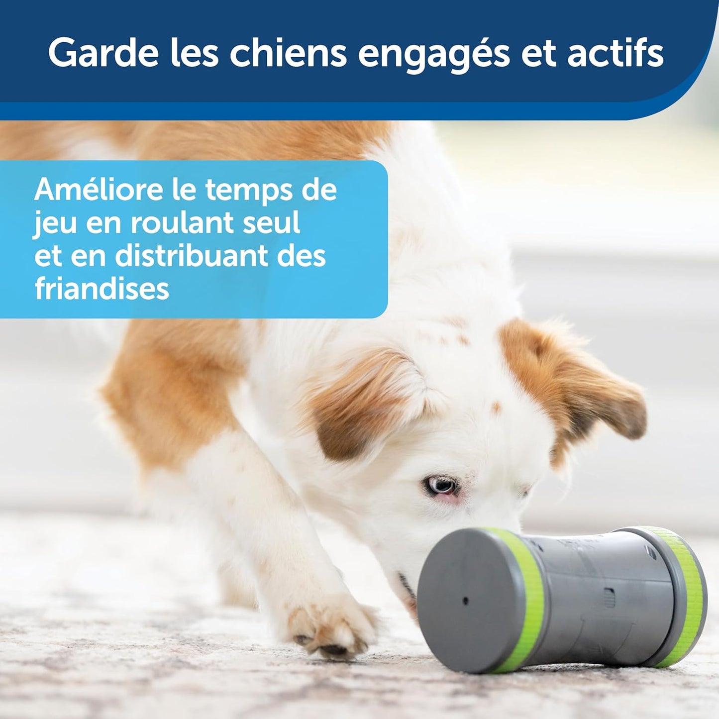 Pet Safe Kibble Chase Roaming Treat Dispenser Electronic Dog Toys