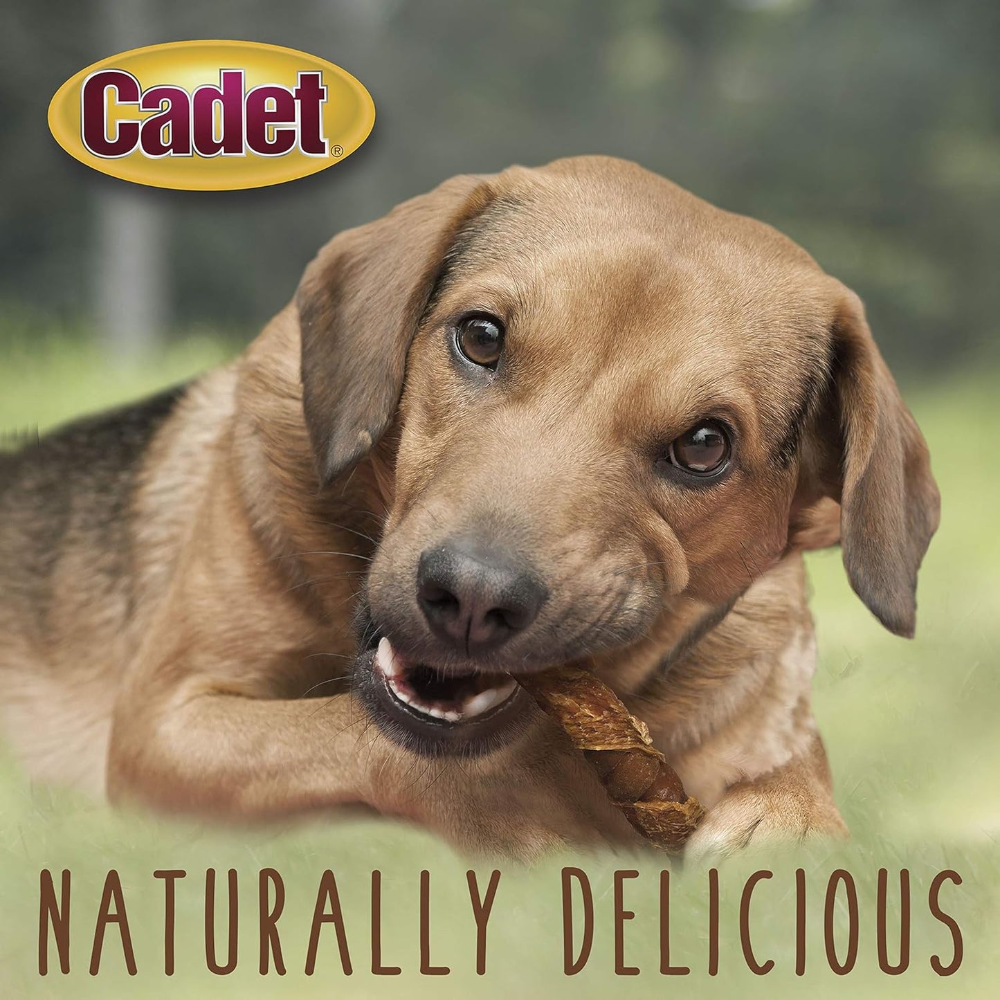 Cadet 6 pk. Chicken & Sweet Potato Triple Chew Treat Dog Treats & Chews