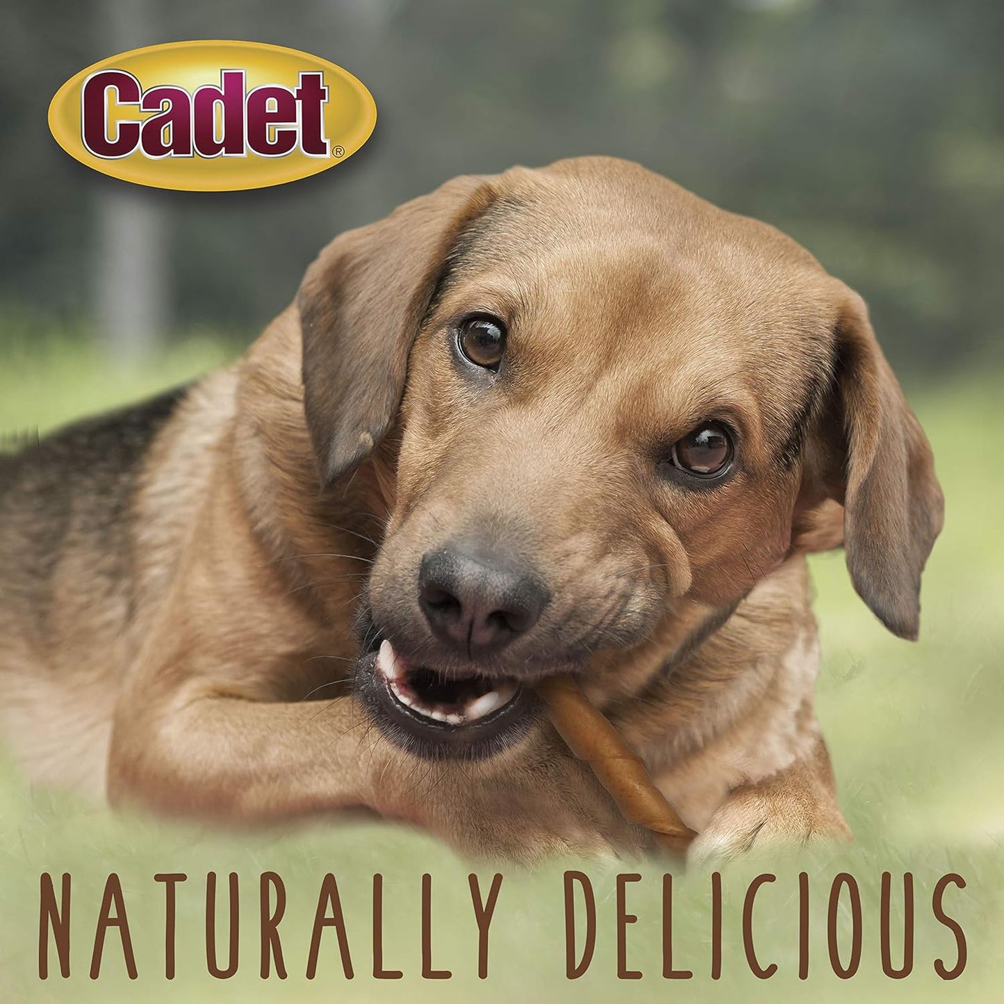 Cadet 10"/5 pk. Pork Roll Twists Dog Treats & Chews