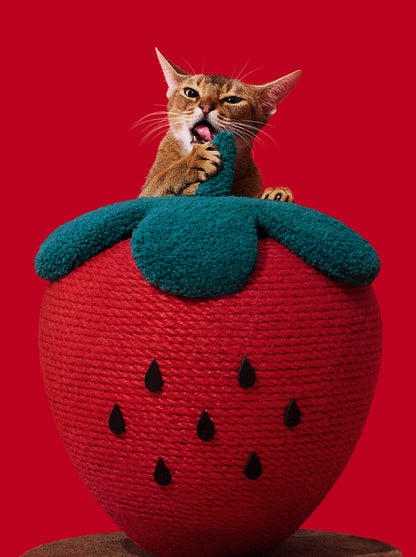 VETRESKA Strawberry Cat Scratching Ball