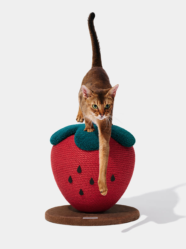 VETRESKA Strawberry Cat Scratching Ball