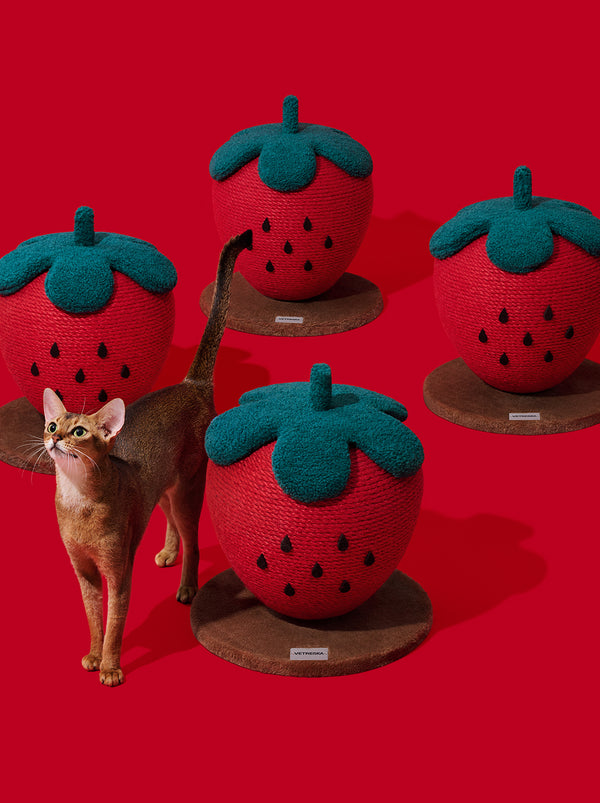 VETRESKA Strawberry Cat Scratching Ball