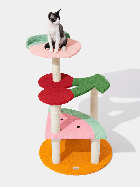 VETRESKA Fruit Frenzy Cat Climber