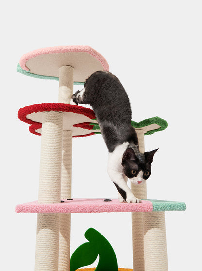 VETRESKA Fruit Frenzy Cat Climber