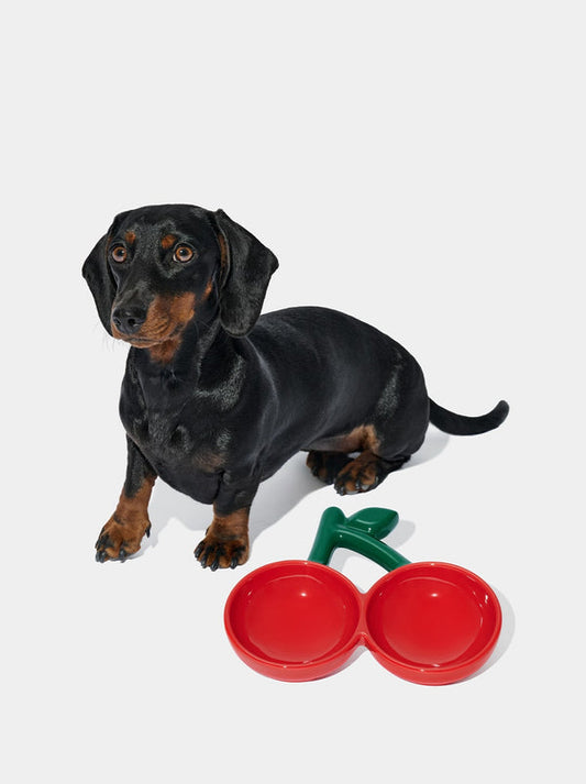 VETRESKA Cherry Ceramic Pet Bowl(NEW)
