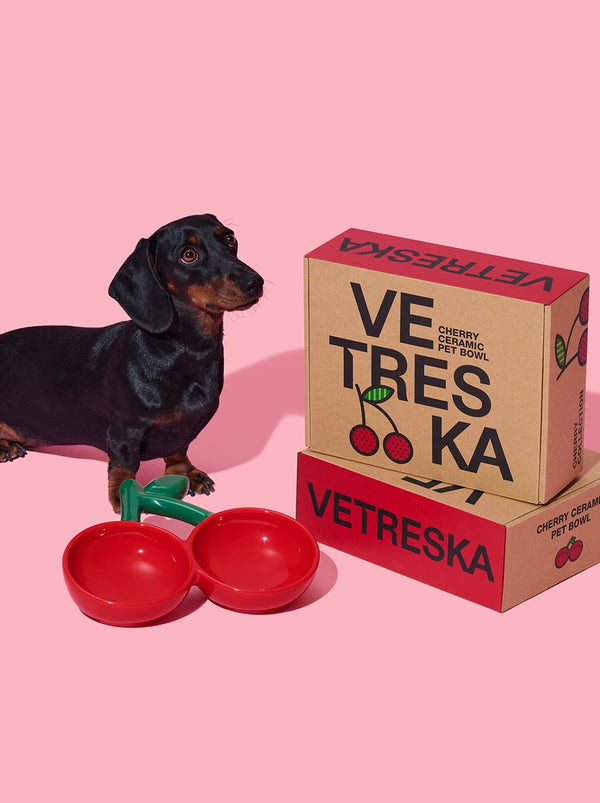 VETRESKA Cherry Ceramic Pet Bowl(NEW)