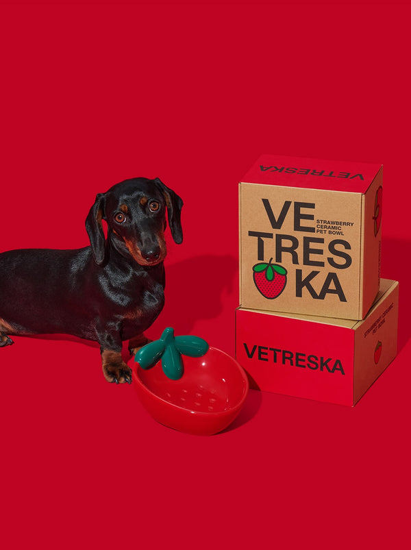 VETRESKA Strawberry Ceramic Pet Bowl