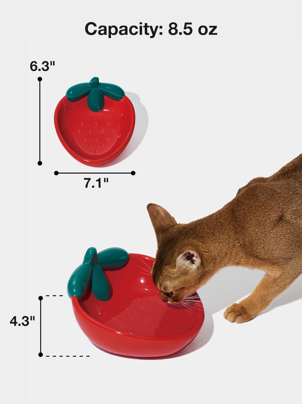 VETRESKA Strawberry Ceramic Pet Bowl