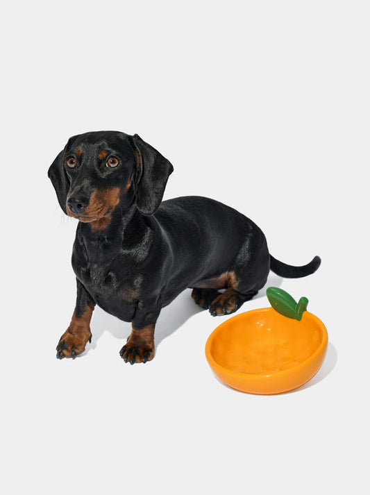 VETRESKA Tangerine Ceramic Pet Bowl