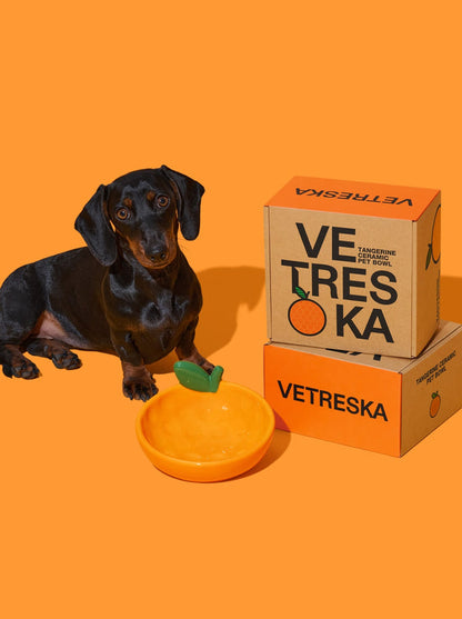 VETRESKA Tangerine Ceramic Pet Bowl