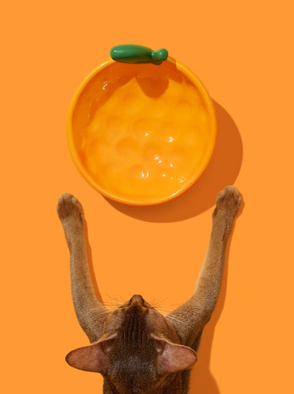 VETRESKA Tangerine Ceramic Pet Bowl