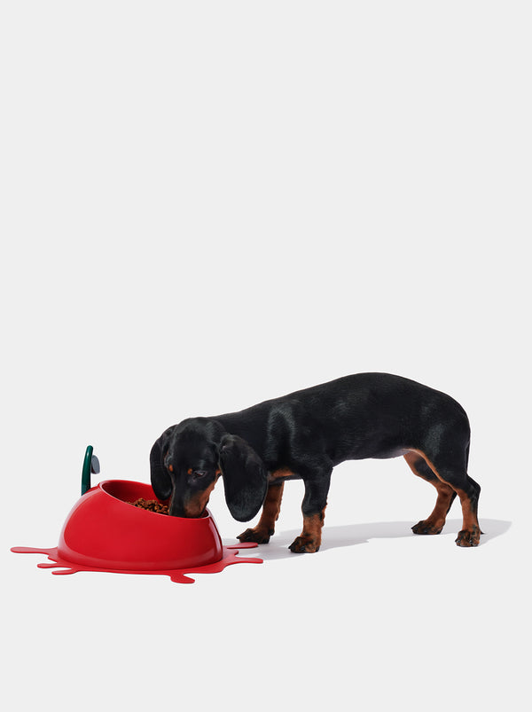 VETRESKA Juicy Cherry Pet Bowl, Spoon & Mat Set