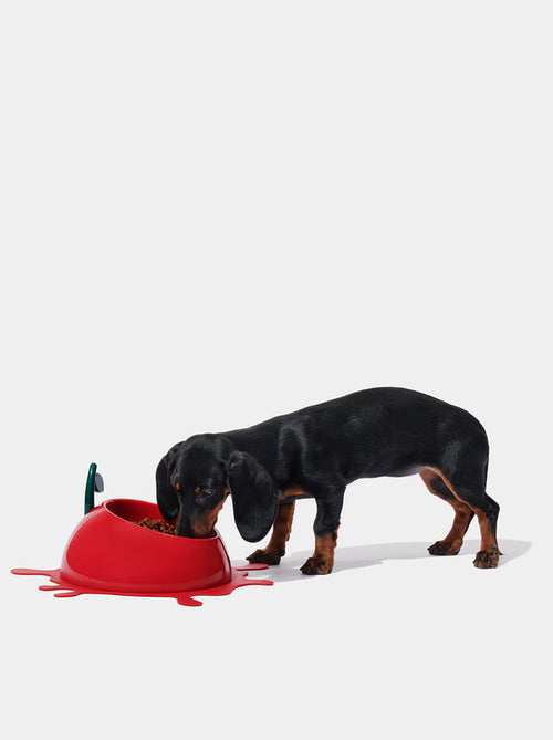 VETRESKA Juicy Cherry Pet Bowl, Spoon & Mat Set