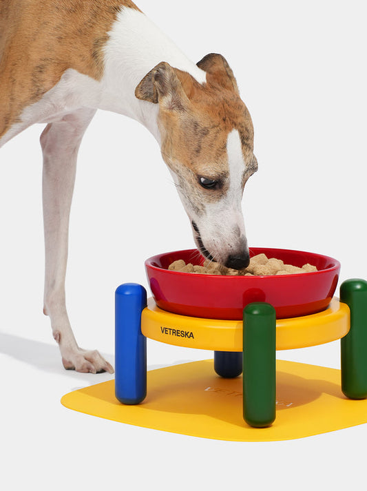 VETRESKA Chroma Pet Bowl & Mat Set (M)