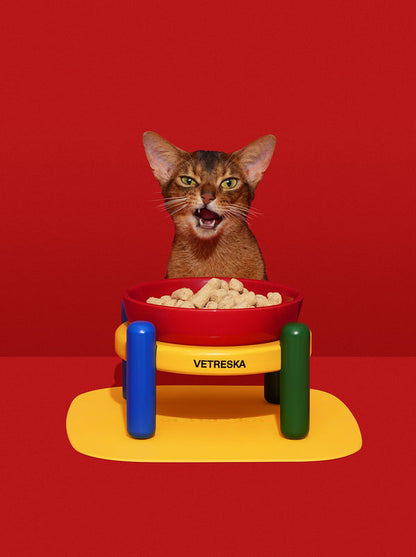 VETRESKA Chroma Pet Bowl & Mat Set (M)