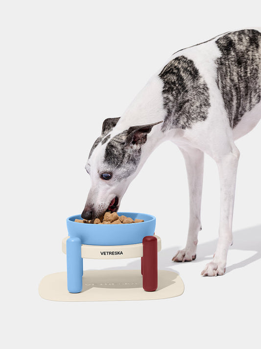 VETRESKA Mist and Merlot Pet Bowl & Mat Set (M)