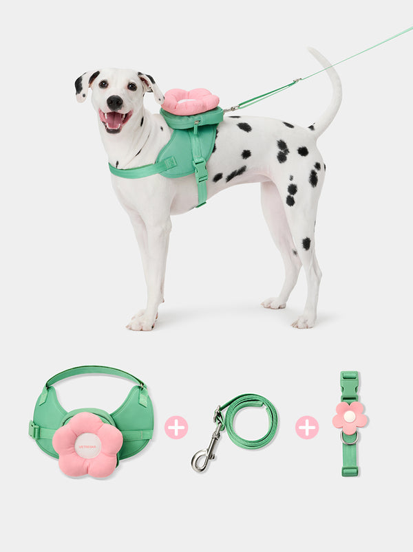 VETRESKA Flora Pet Backpack & Harness 3 in 1 Set