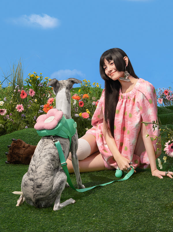 VETRESKA Flora Pet Backpack & Harness 3 in 1 Set