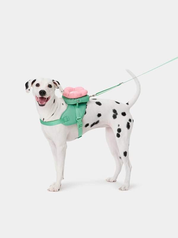VETRESKA Flora Pet Backpack & Harness 3 in 1 Set