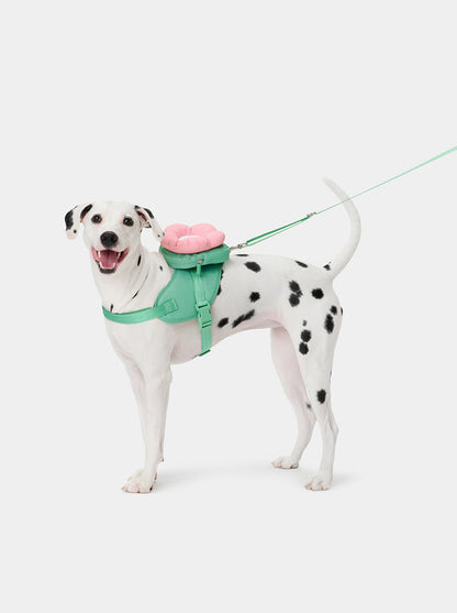 VETRESKA Flora Pet Backpack & Harness 3 in 1 Set